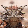 moloch's Avatar